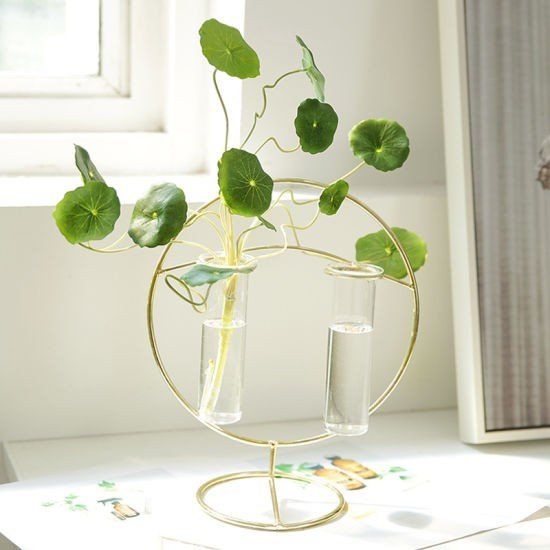 Durable Glass Vase summer home decor ideas 