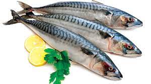 Oily fish boosts reading, spelling, attention | The Guardian Nigeria News -  Nigeria and World NewsFeatures — The Guardian Nigeria News – Nigeria and  World News