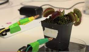 Robo-Plants: Incredible Fusion of Nature and Technology : Tech : koreaportal