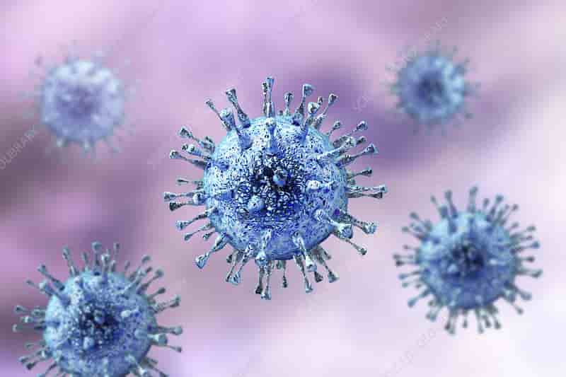 New Virus Cytomegalovirus Has Been Found In Patients Of Delhi