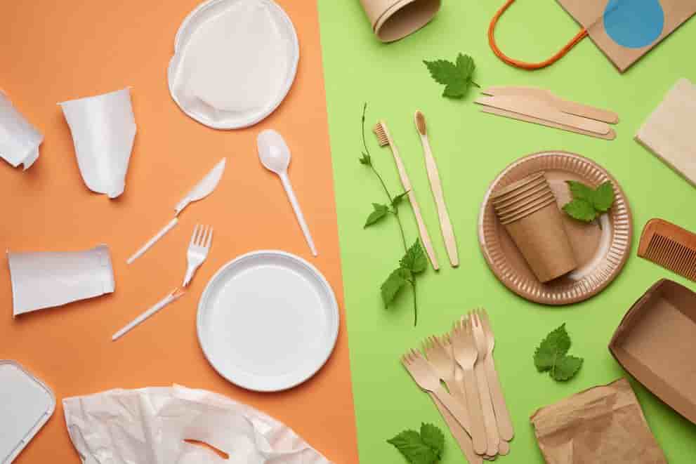 Best Biodegradable & Earth-Friendly Products