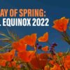 What Is Vernal Equinox – Myths & Tales About The Onset Of Spring