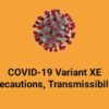 Covid New Variant XE – You Need To Know Everything There Is To Know About