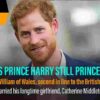 Is Prince Harry Still Royal, Is He Still Addressed As Duke of Sussex