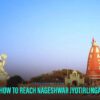 Nageshwar Jyotirlinga Temple Timings, Story, History, Facts And How To Reach 