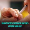Bharat Biotech Nasal Vaccine Updates, Advantages And When It Will Be Available