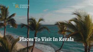 Top 12 Places To Visit In Kerala